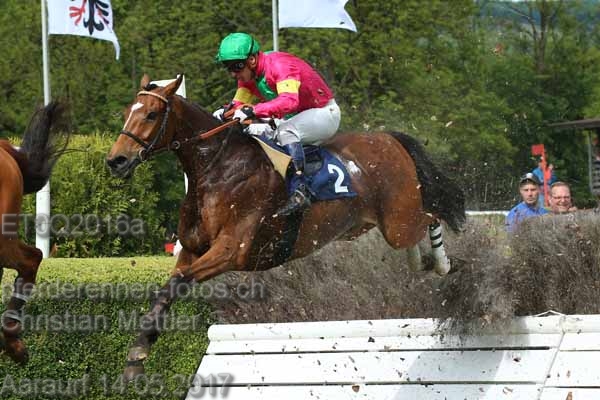 ET0Q2016a prot
